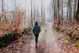 Woman walking in the foggy woods.  Partner with an ADHD life coach to support you on your journey.